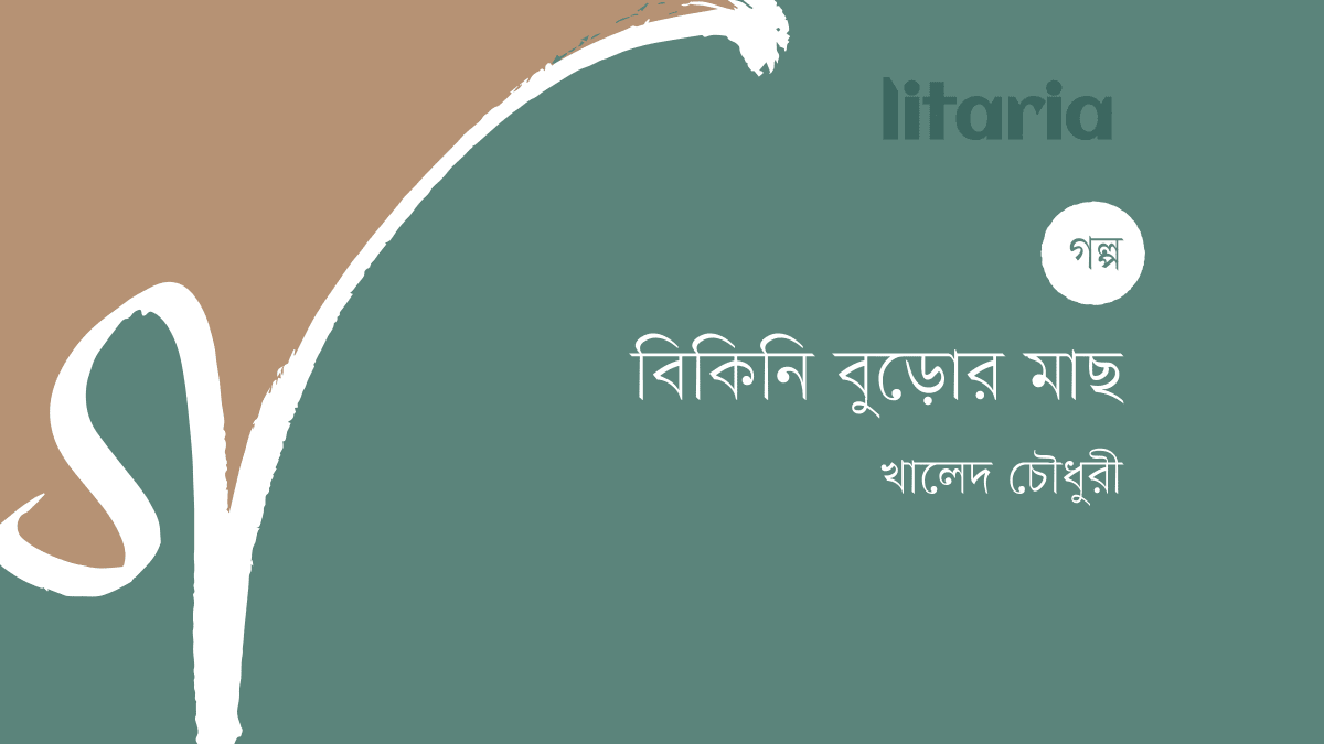 বিকিনি বুড়োর মাছ